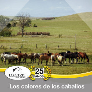 Los colores de los caballos