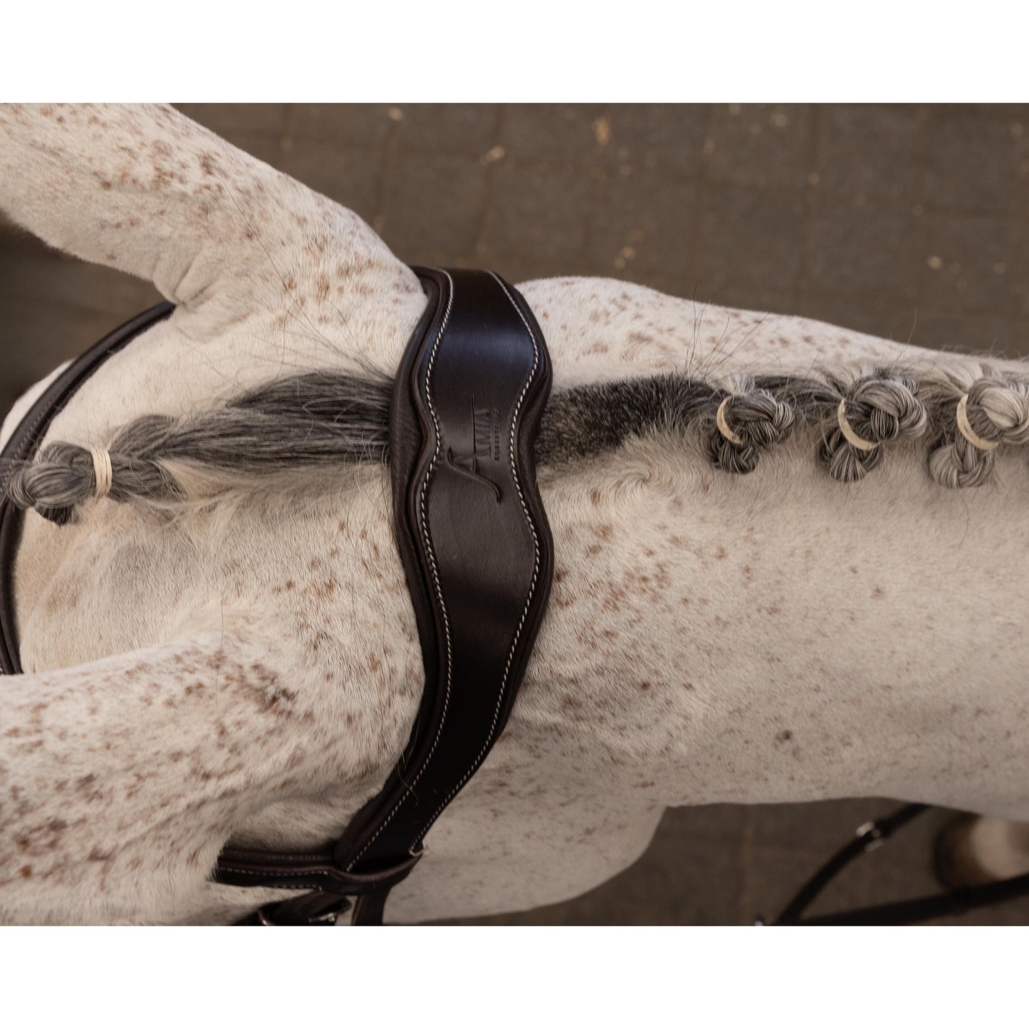 Brida Doble Muserola Amia Grand Slam