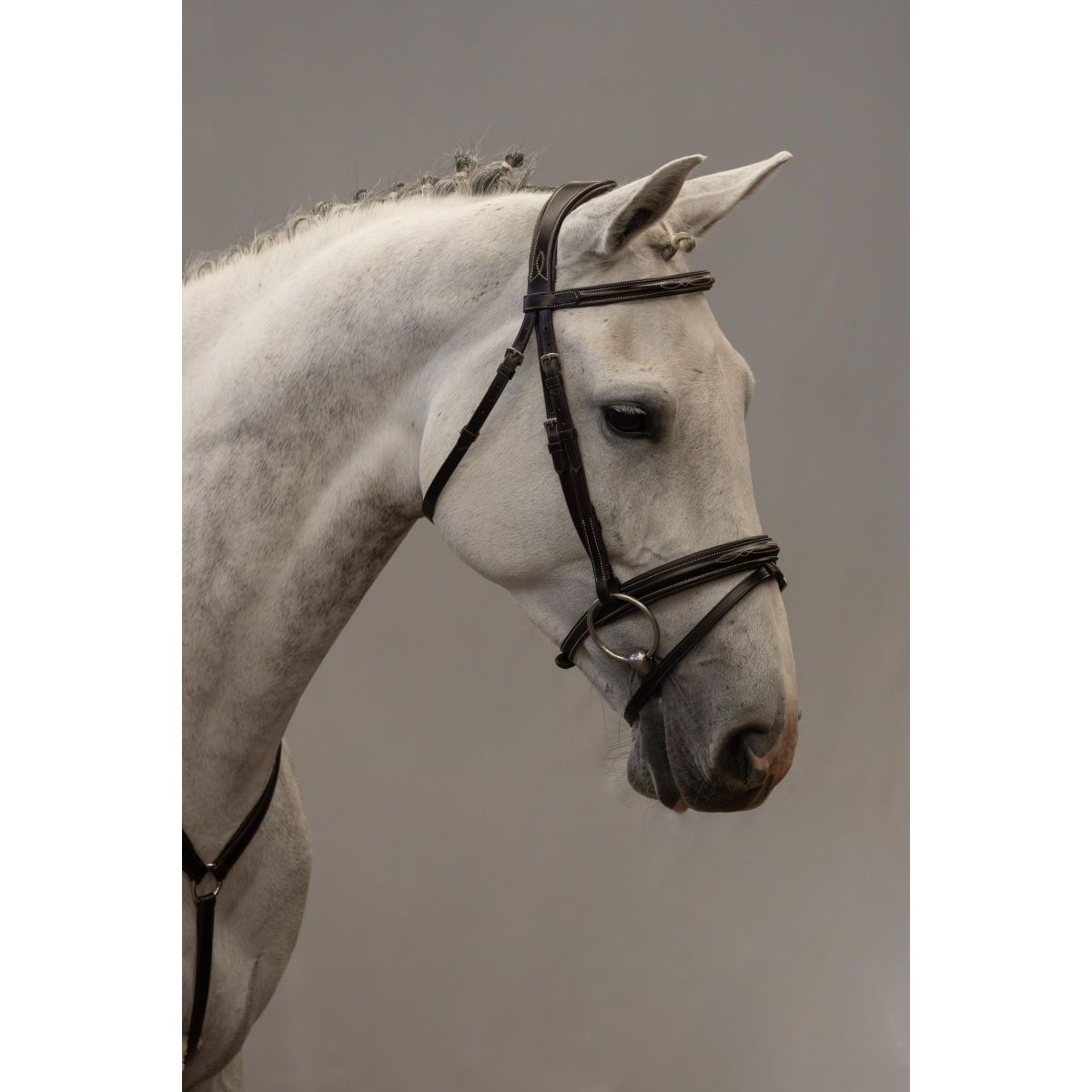 Brida Inglesa Combinada Amia Rafaela Classic