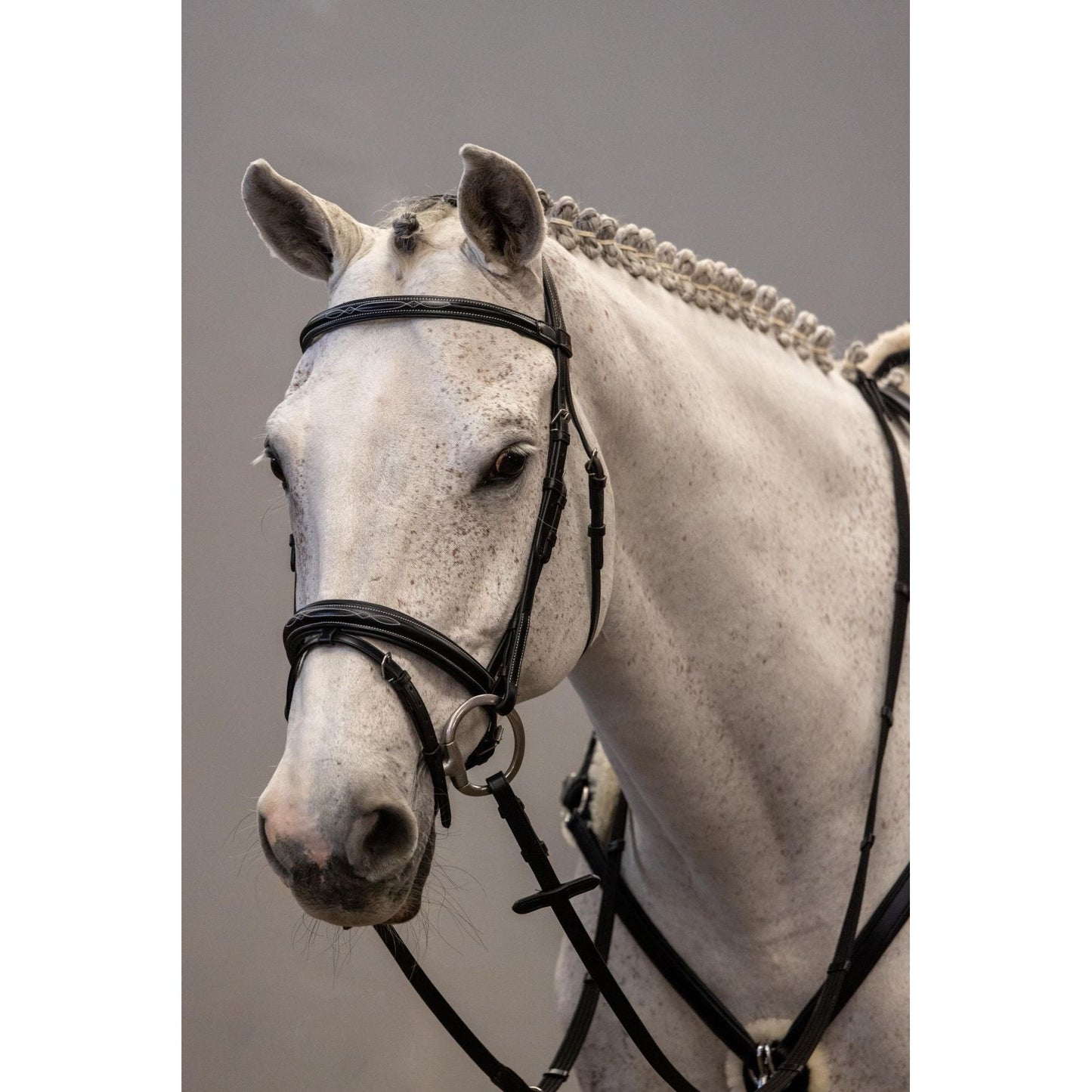 Brida Inglesa Combinada Amia Rafaela Classic