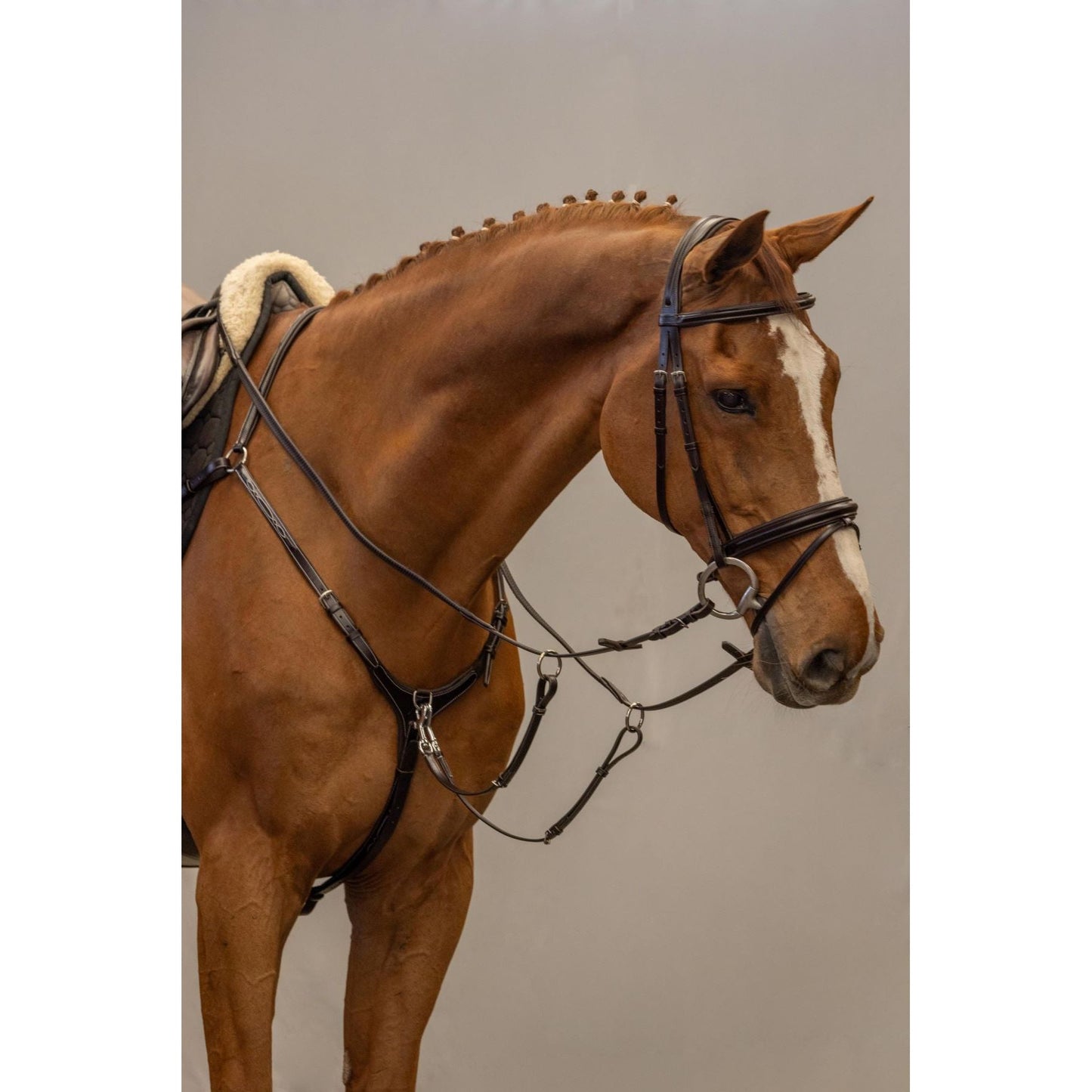 Brida Inglesa Combinada Amia Chamán