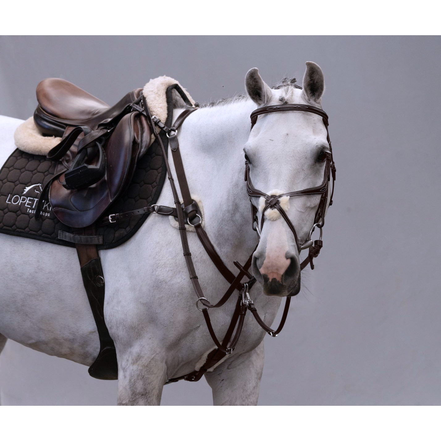 Pechera 5 Puntos Amia La Argentina