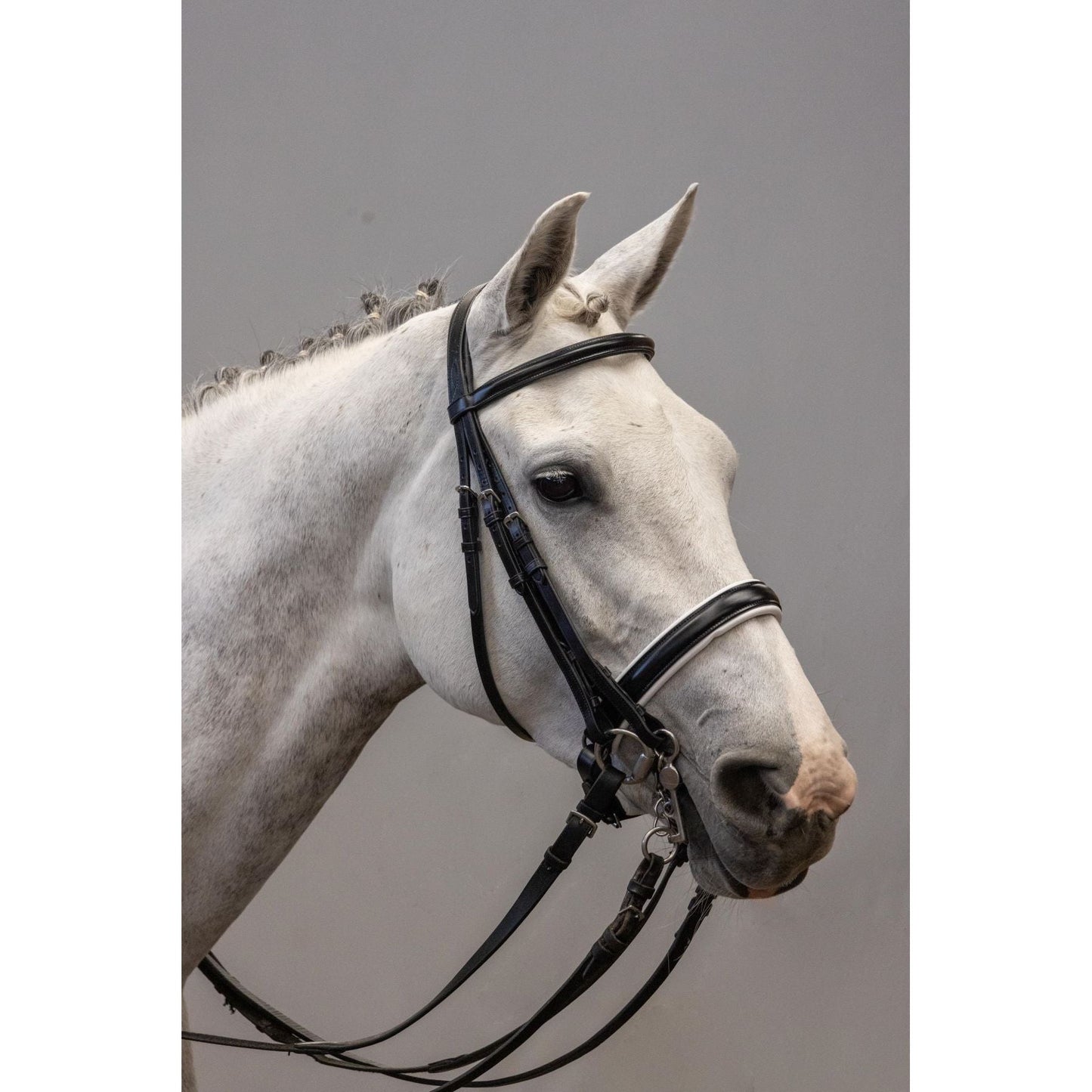 Doble Brida Amia Venus