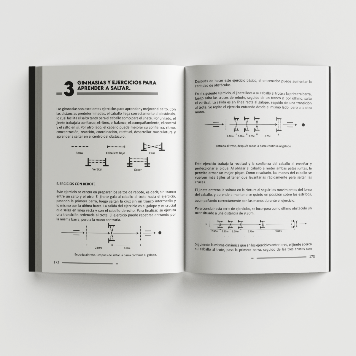 Libro Principios de Equitación