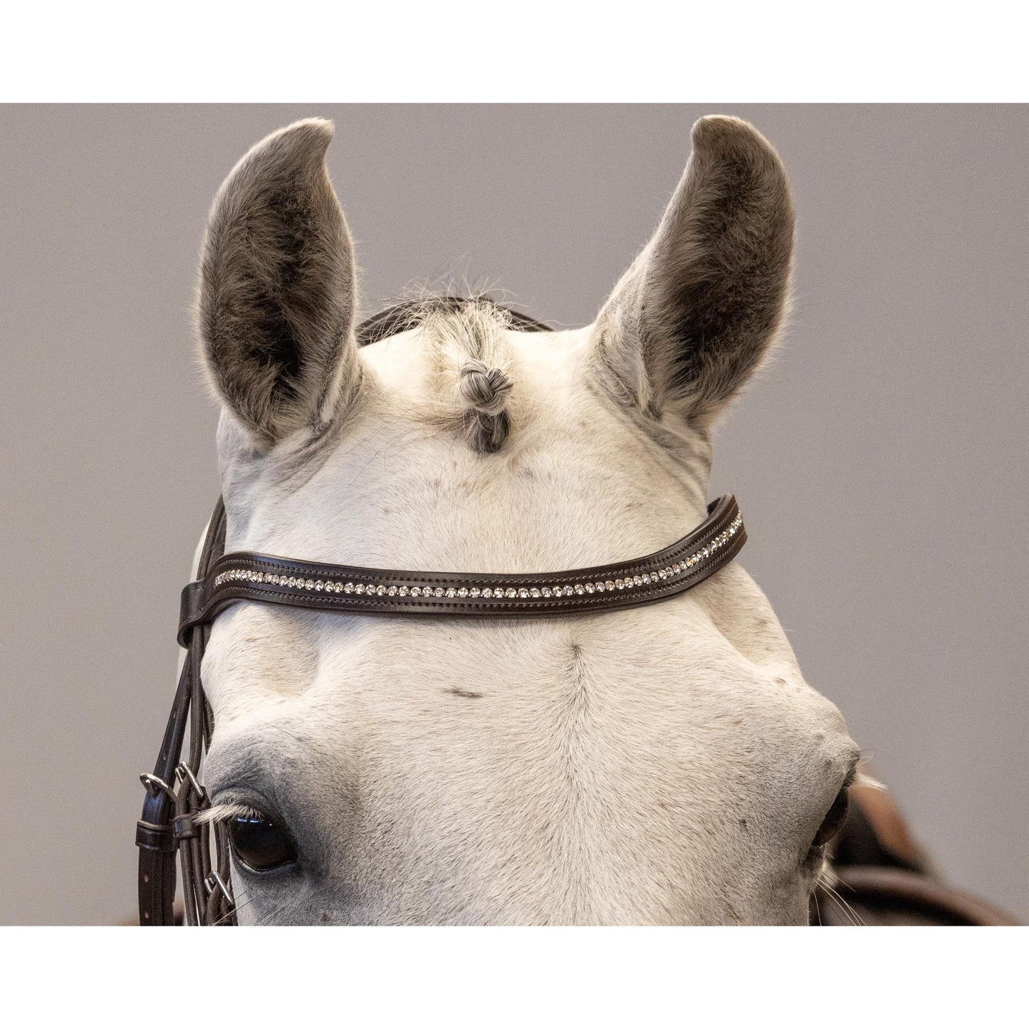 Brida Inglesa Combinada Amia Troya