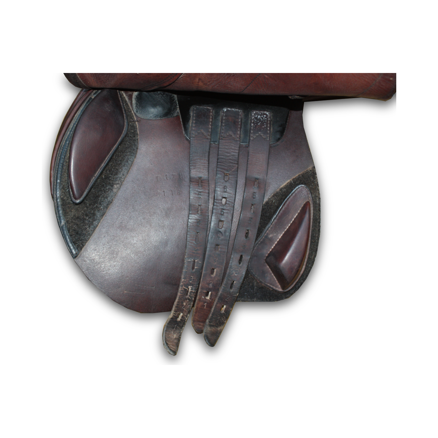 Albardón Equiline Nick Skelton 2020 T.17 Café