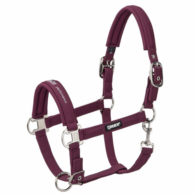 Almartigón Eskadron Double Pin Buckle