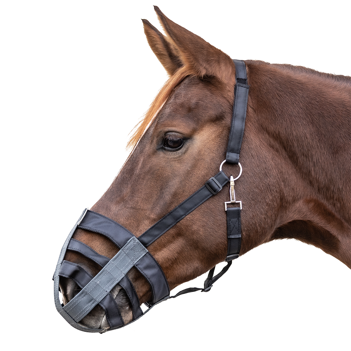 Bozal de Tela para Caballo WH