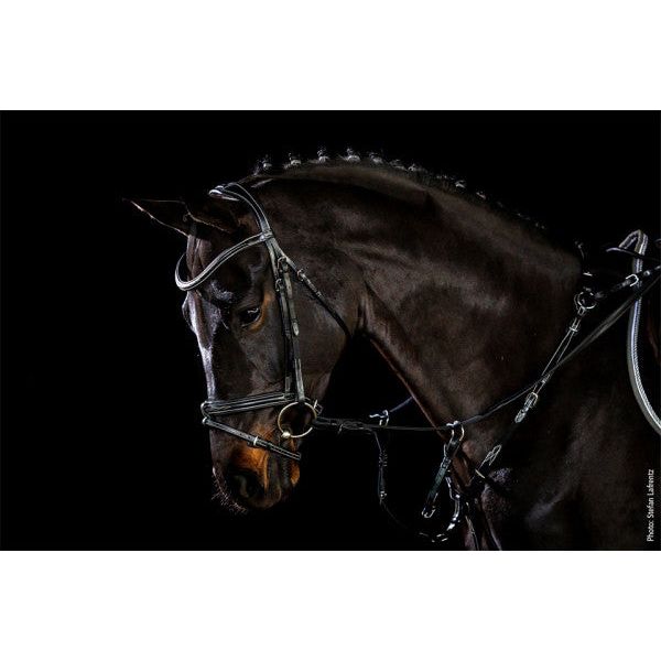 Brida Inglesa Combinada Schockemohle Tokyo F Select