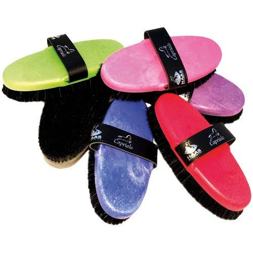 Cepillo Haas Capriole Color