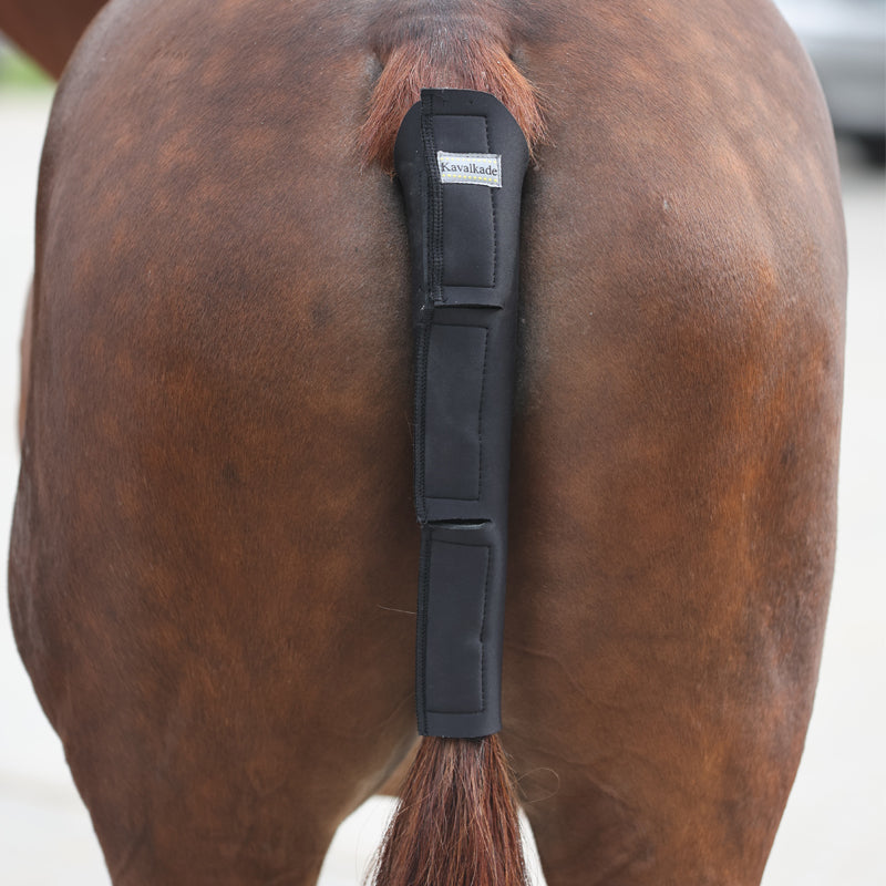 Colera Protectora para Transporte Kavalkade