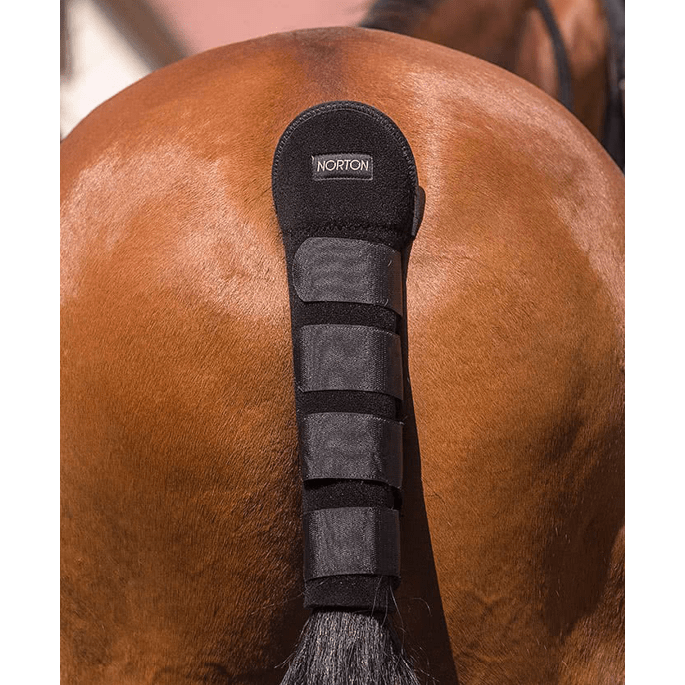 Colera Ekkia Norton High Protection