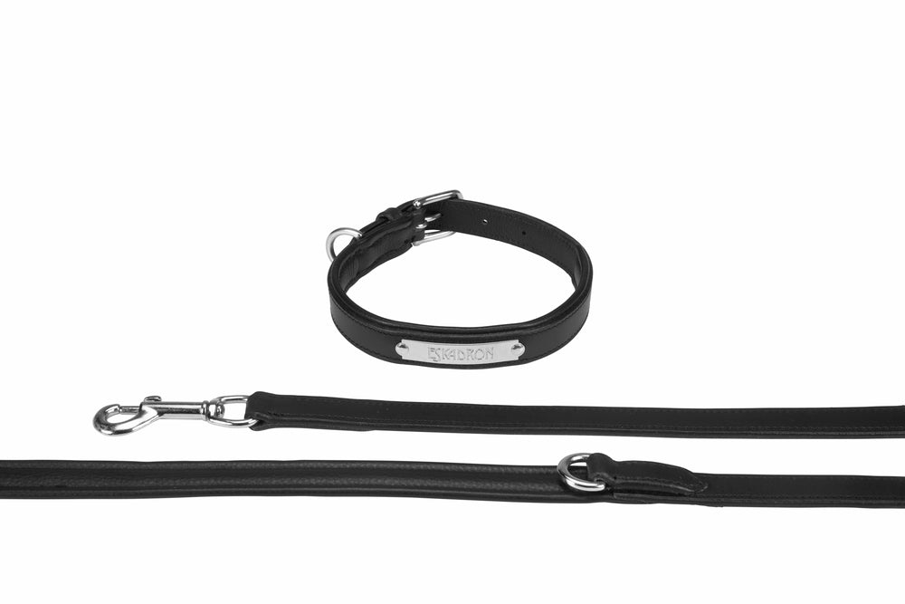 Correa y Collar de Piel para Perro Eskadron Leather