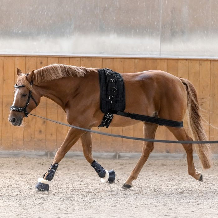 Liga para dar Cuerda WH Hindquarters Activation