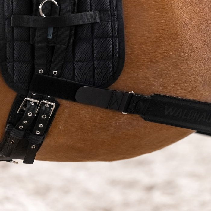 Liga para dar Cuerda WH Hindquarters Activation