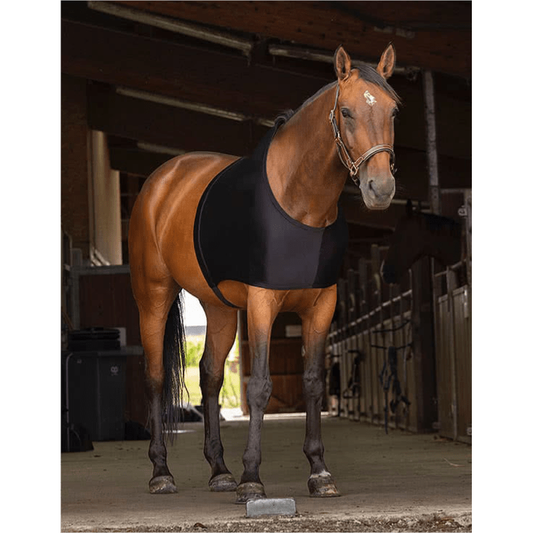 Protector de Hombros para Cobija Ekkia Equitheme