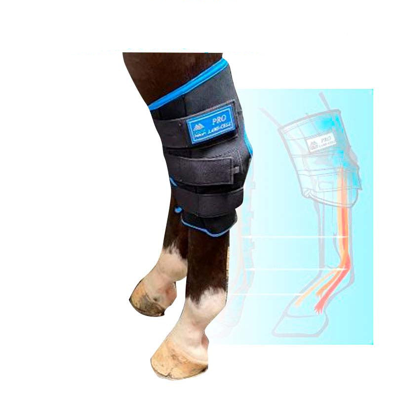 Cojines de Hielo para Corvejon Lami Cell