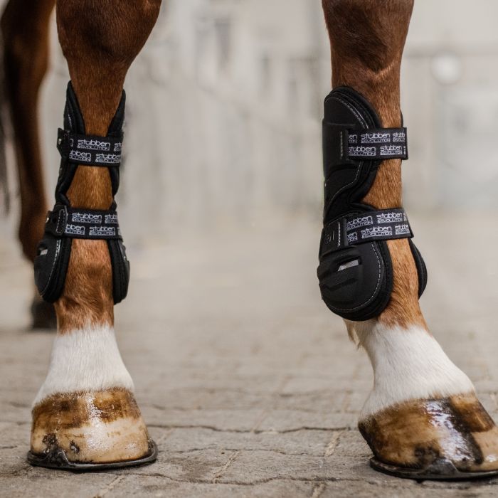 Protectores de Manos Stübben Hybrid Tendon Boots