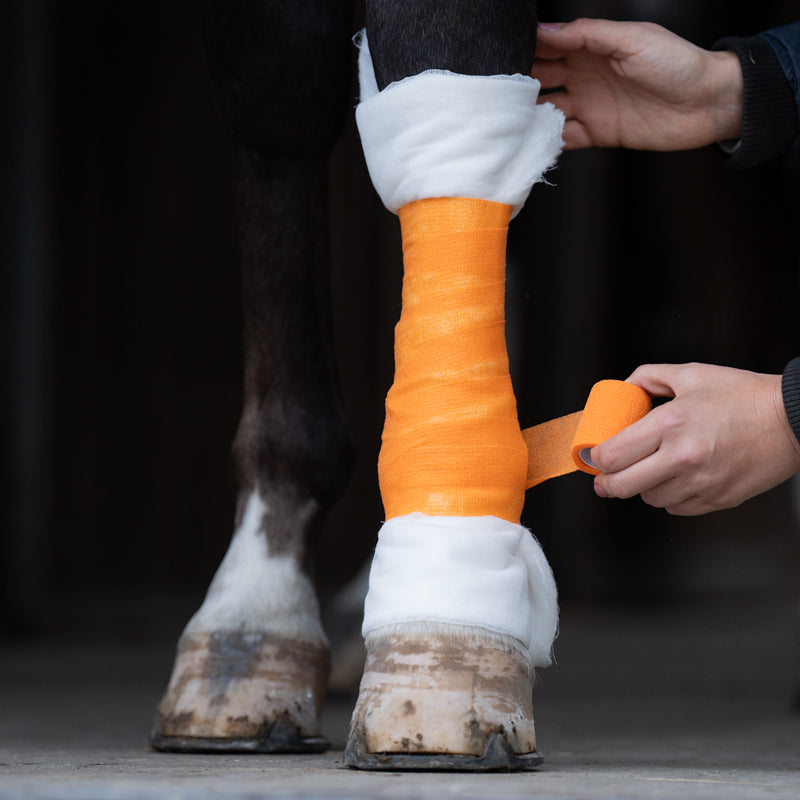 Venda Vet Wrap Kavalkade