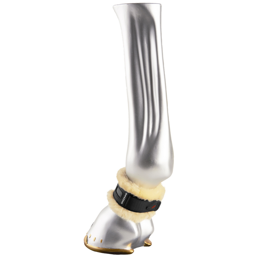 Dona Protectora con Borrega Zandona