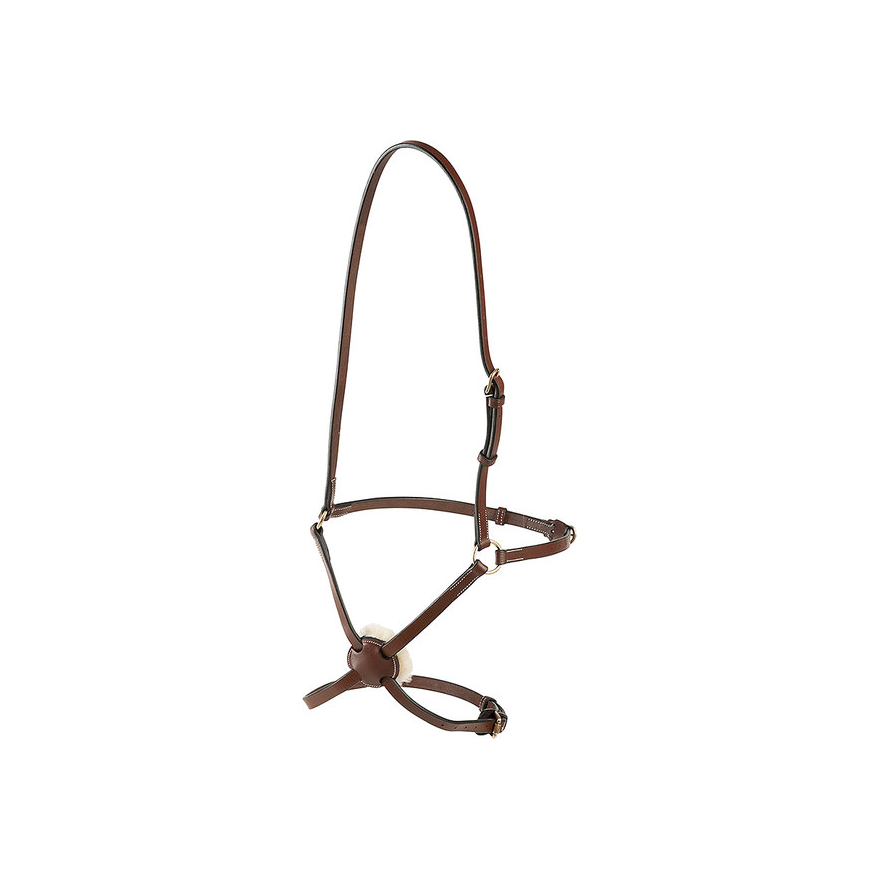 Muserola Cruzeta Ekkia Lopetzki