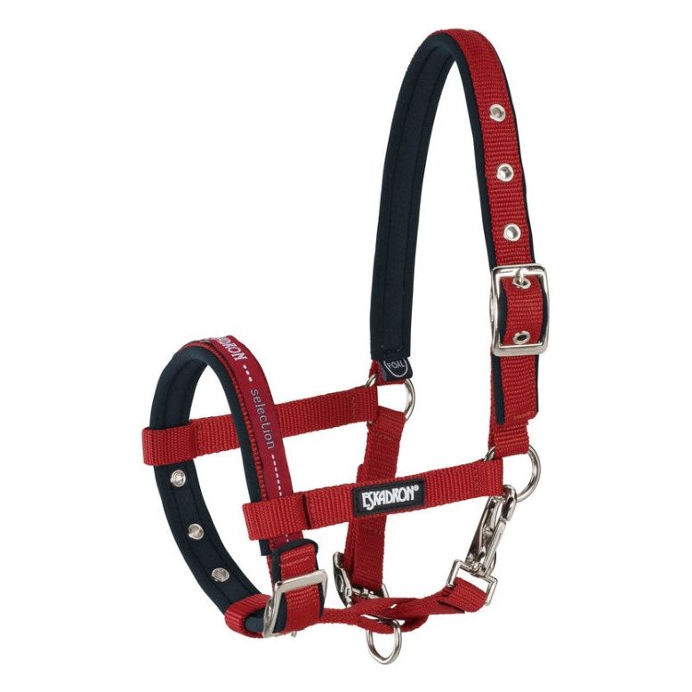 Almartigón para Potrillos Eskadron Foal