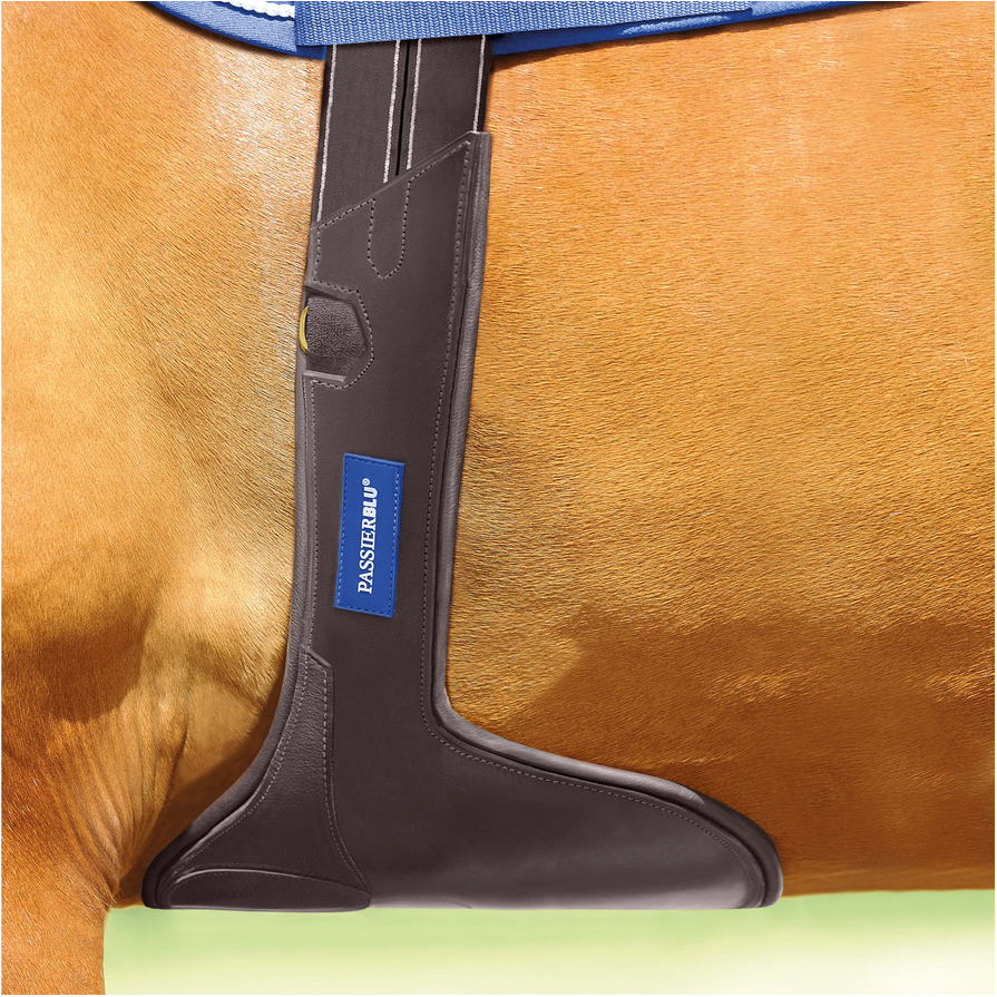 Cincho con Peto Passier Passierblu Protect