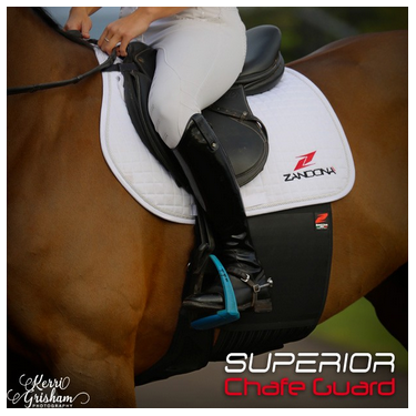 Faja para Caballo Zandonà Superior Evo