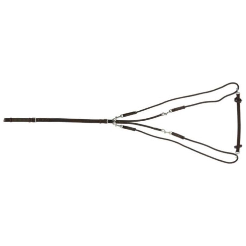 Gogue Ekkia Riding World