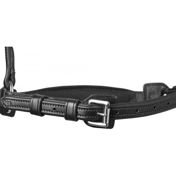 Muserola Hannoveriana Schockemohle Seattle