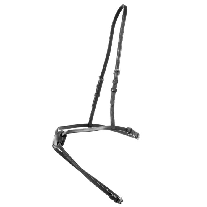 Muserola Mexicana Kavalkade