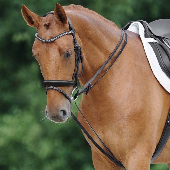 Riendas Byron con Mosquetón Passier