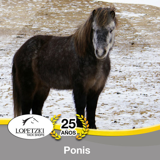 Ponis