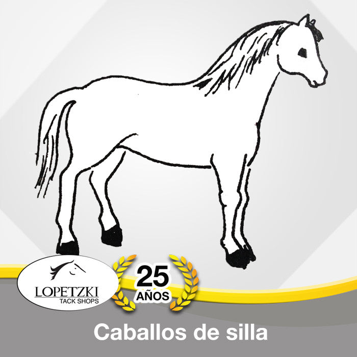 Caballos de silla