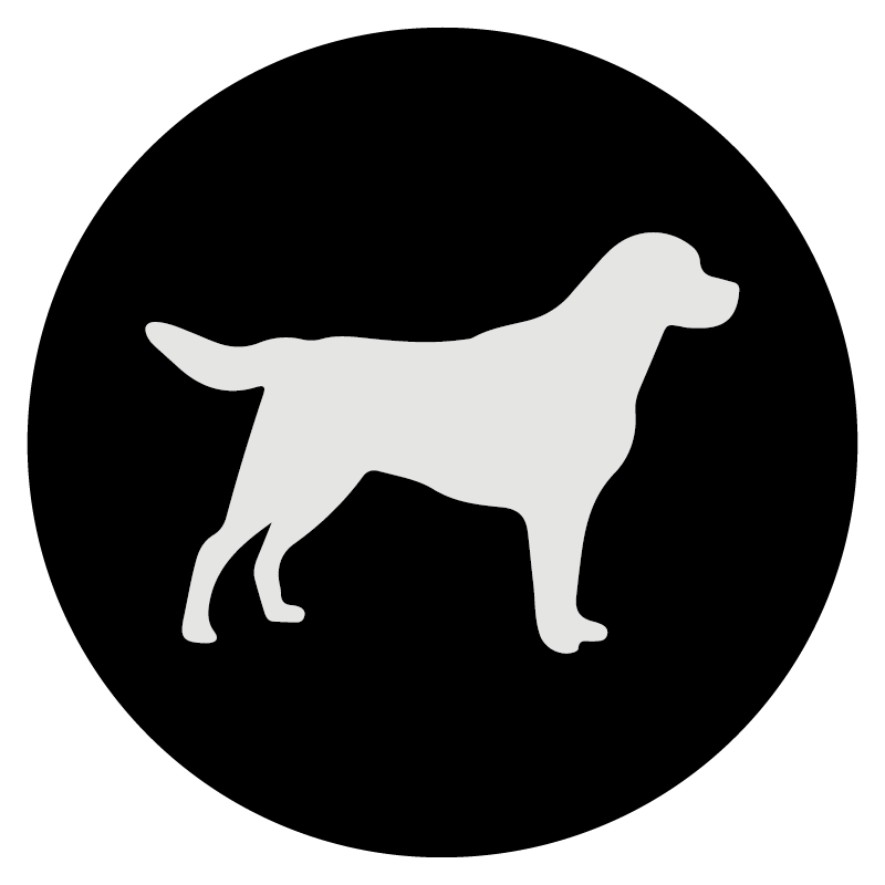 Artículos para Perros