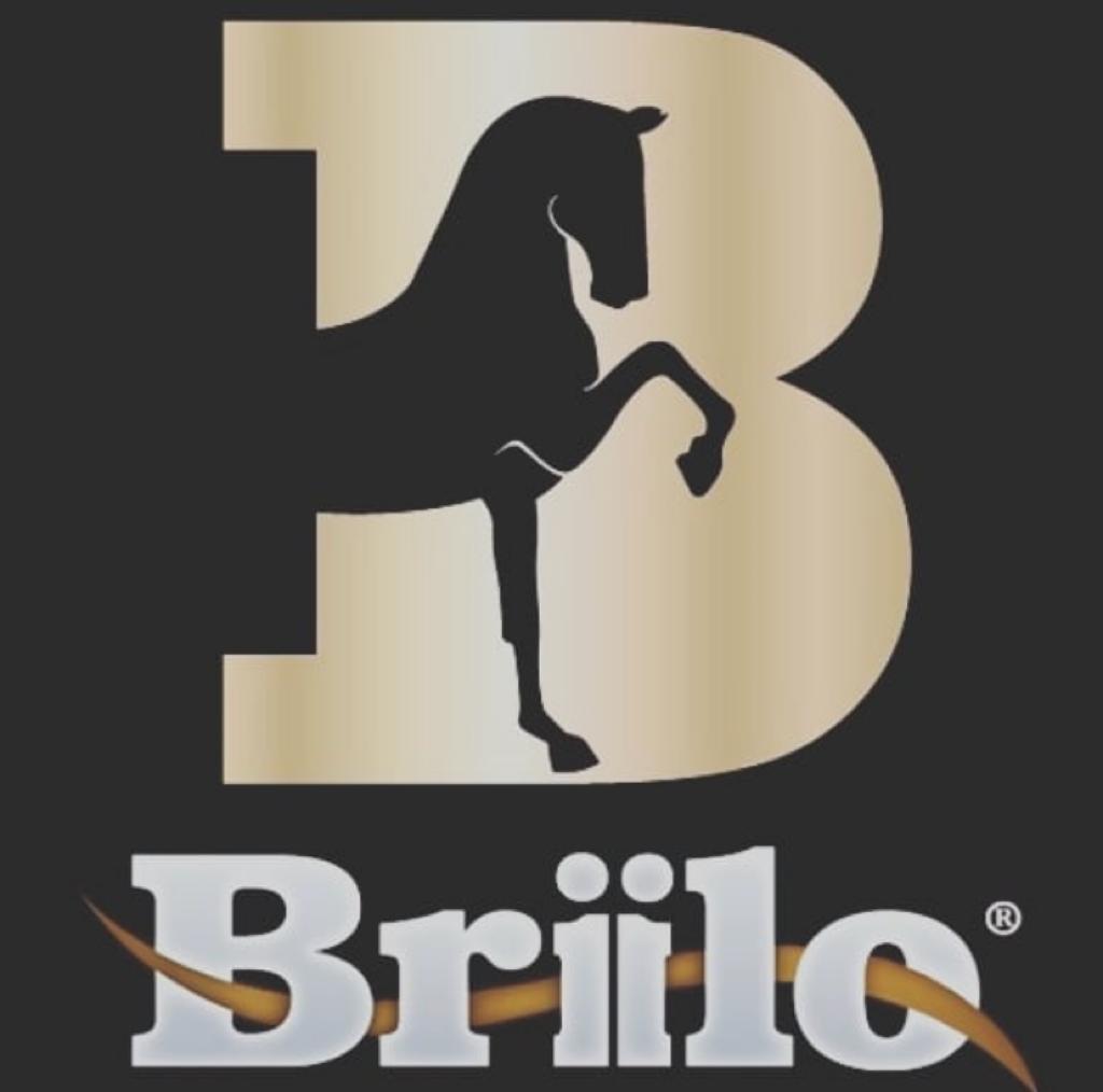 Briilo