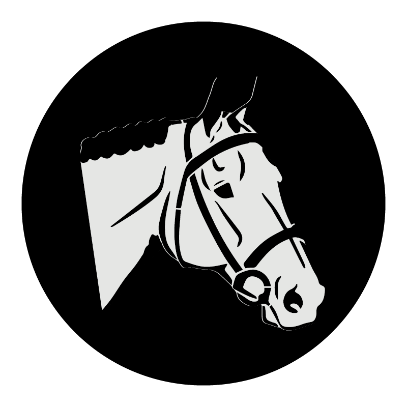 Artículos para Caballos