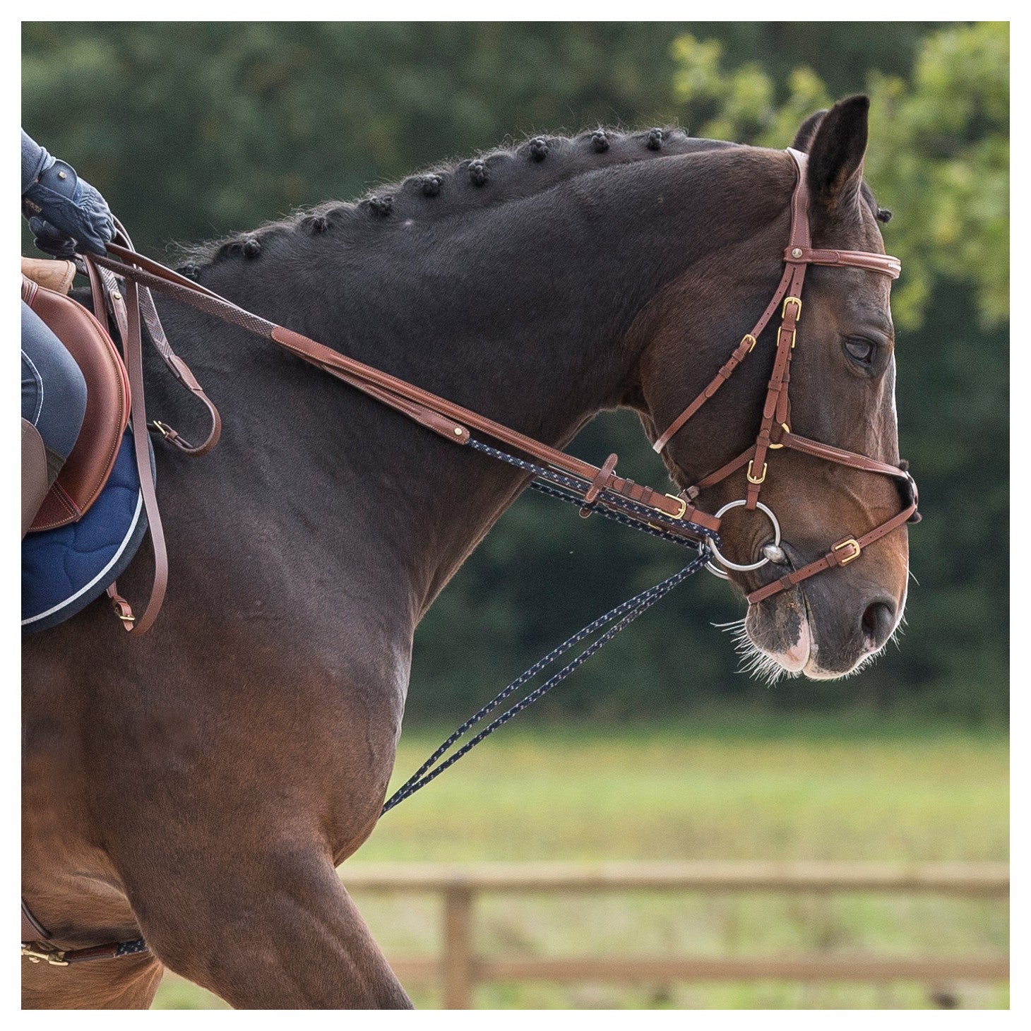 Attaches en nylon pour cheval - Paire | La Chambrière Attaches en nylon pour cheval - Paire | La Chambrière