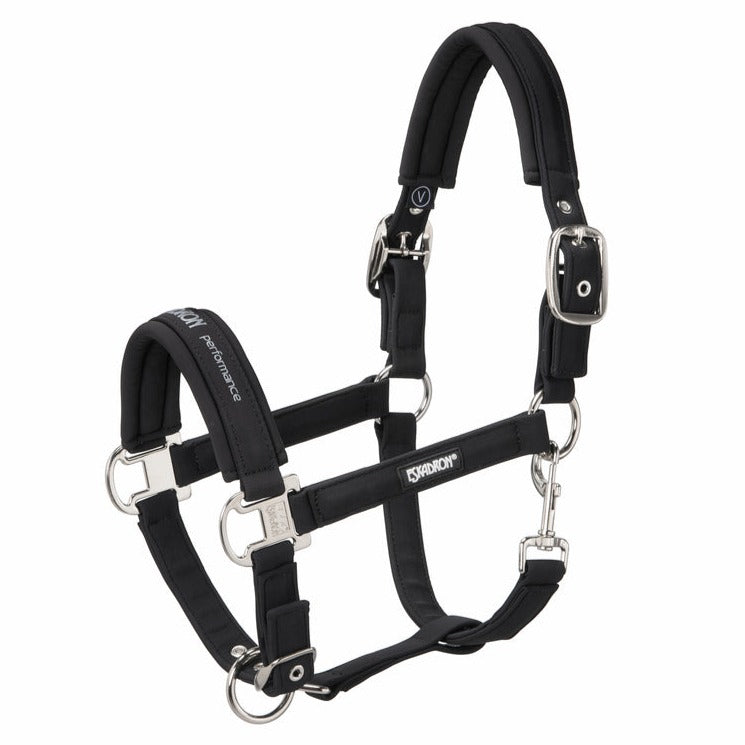 Almartigón Eskadron Double Pin Buckle