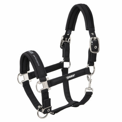 Almartigón Eskadron Double Pin Buckle