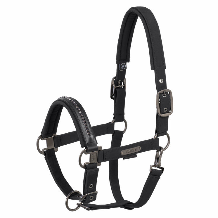 Almartigón Eskadron Pearls Double Pin Platinum 25