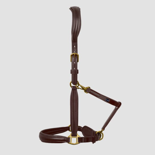 Almartigón de Piel Passier Padded