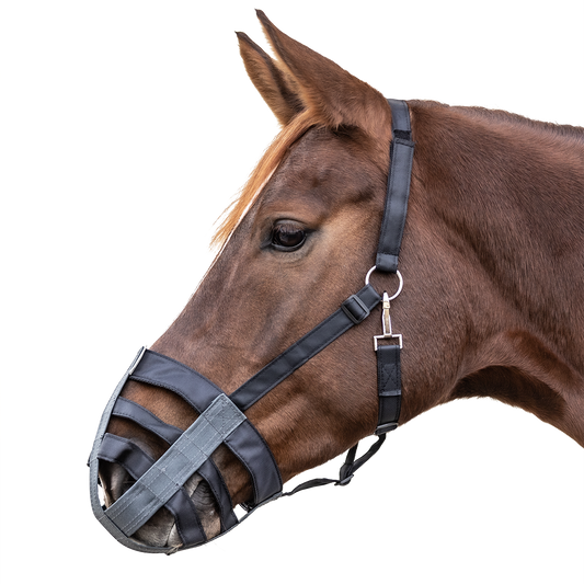 Bozal de Tela para Caballo WH