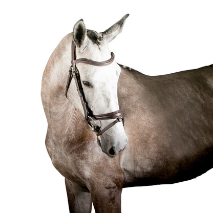 Brida Inglesa Combinada HBC Ginebra