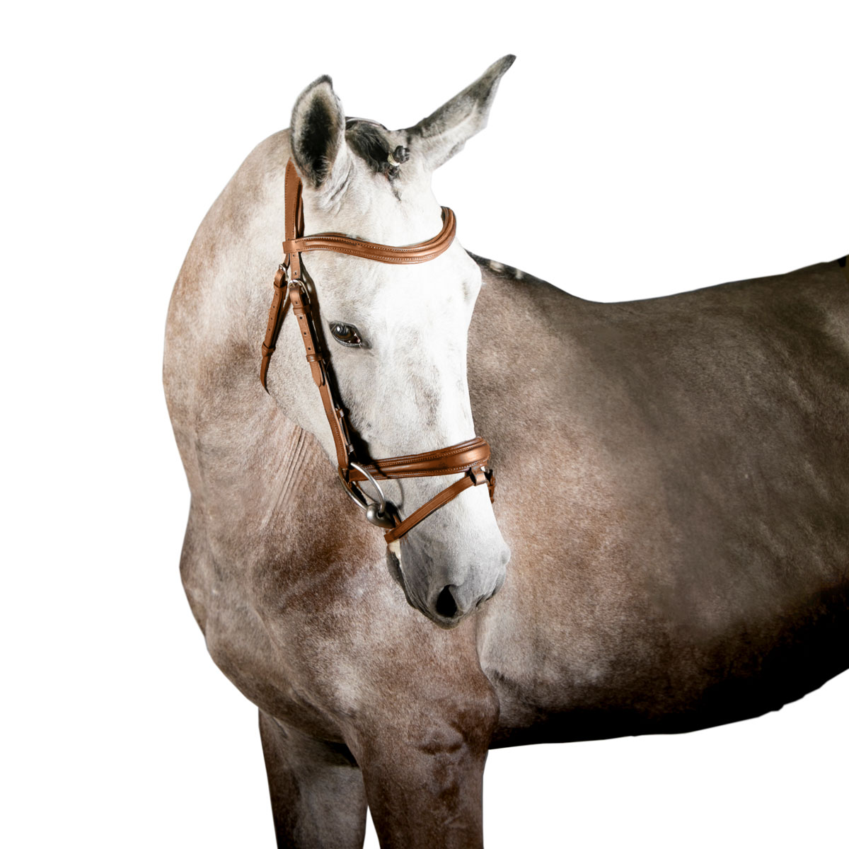 Brida Inglesa Combinada HBC Ginebra