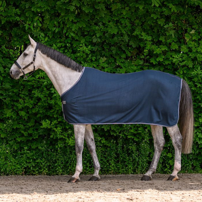 Cobija de Paseo Fleece WH Economic