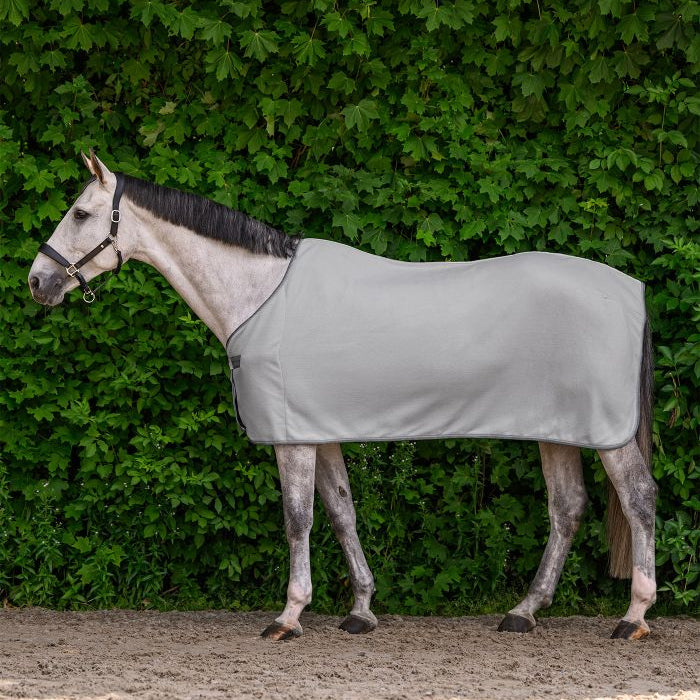 Cobija de Paseo Fleece WH Economic