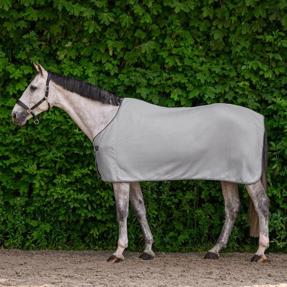 Cobija de Paseo Fleece WH Economic