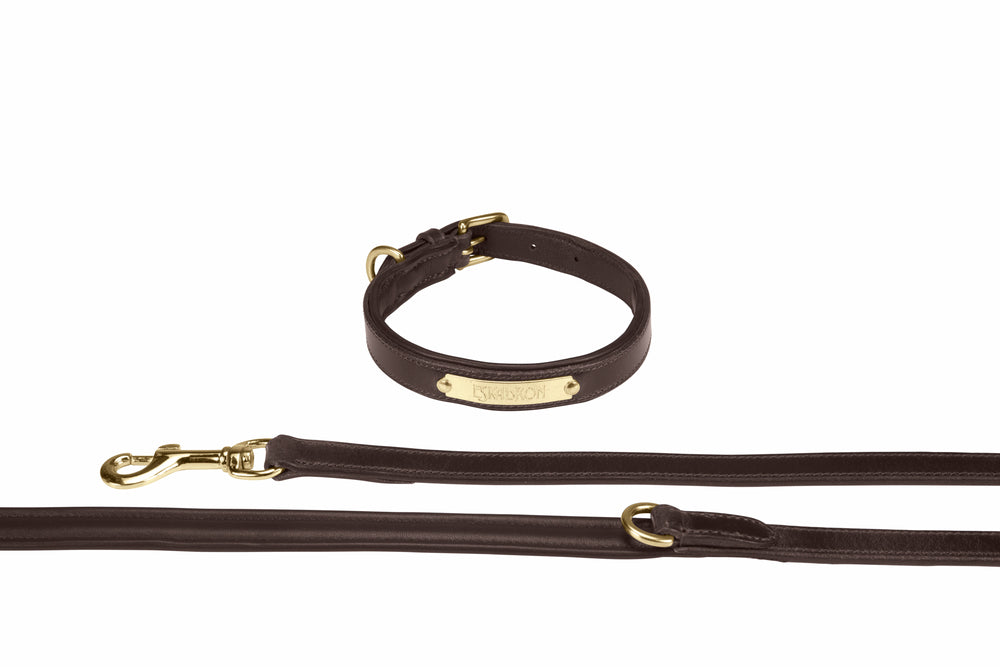 Correa y Collar de Piel para Perro Eskadron Leather