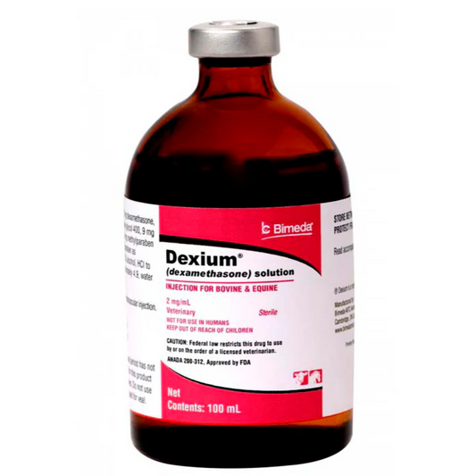 Dexium Dexametasona